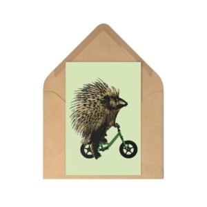 Porcupine,  Postcards (7 pcs)