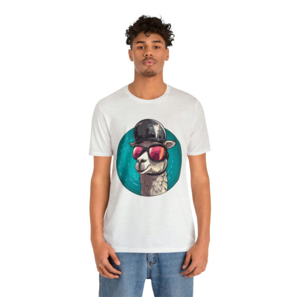Party Llama - Image 13